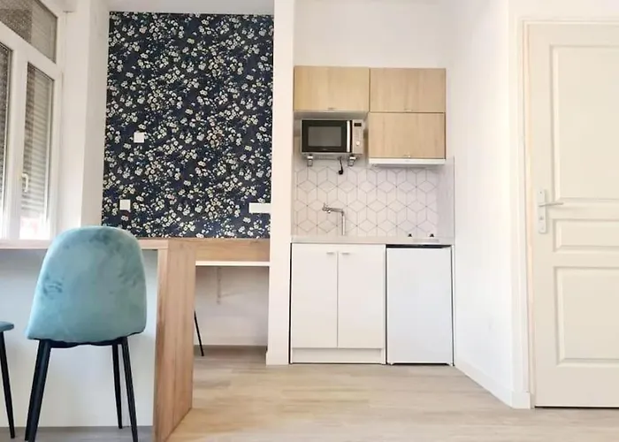 Studio Entierement Renove Proche Gare
